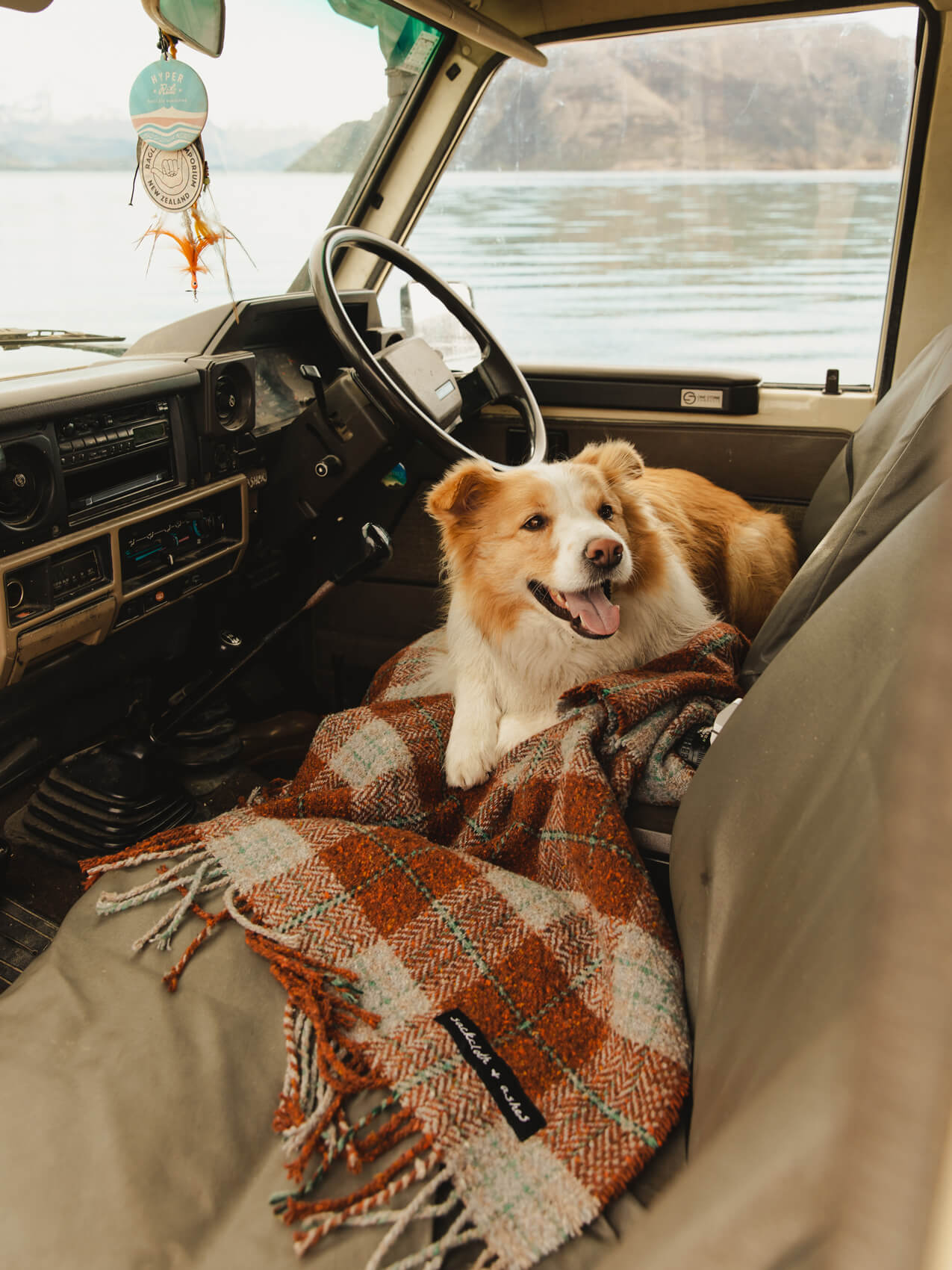 An adorable pup taking charge in the driver's seat of a car.